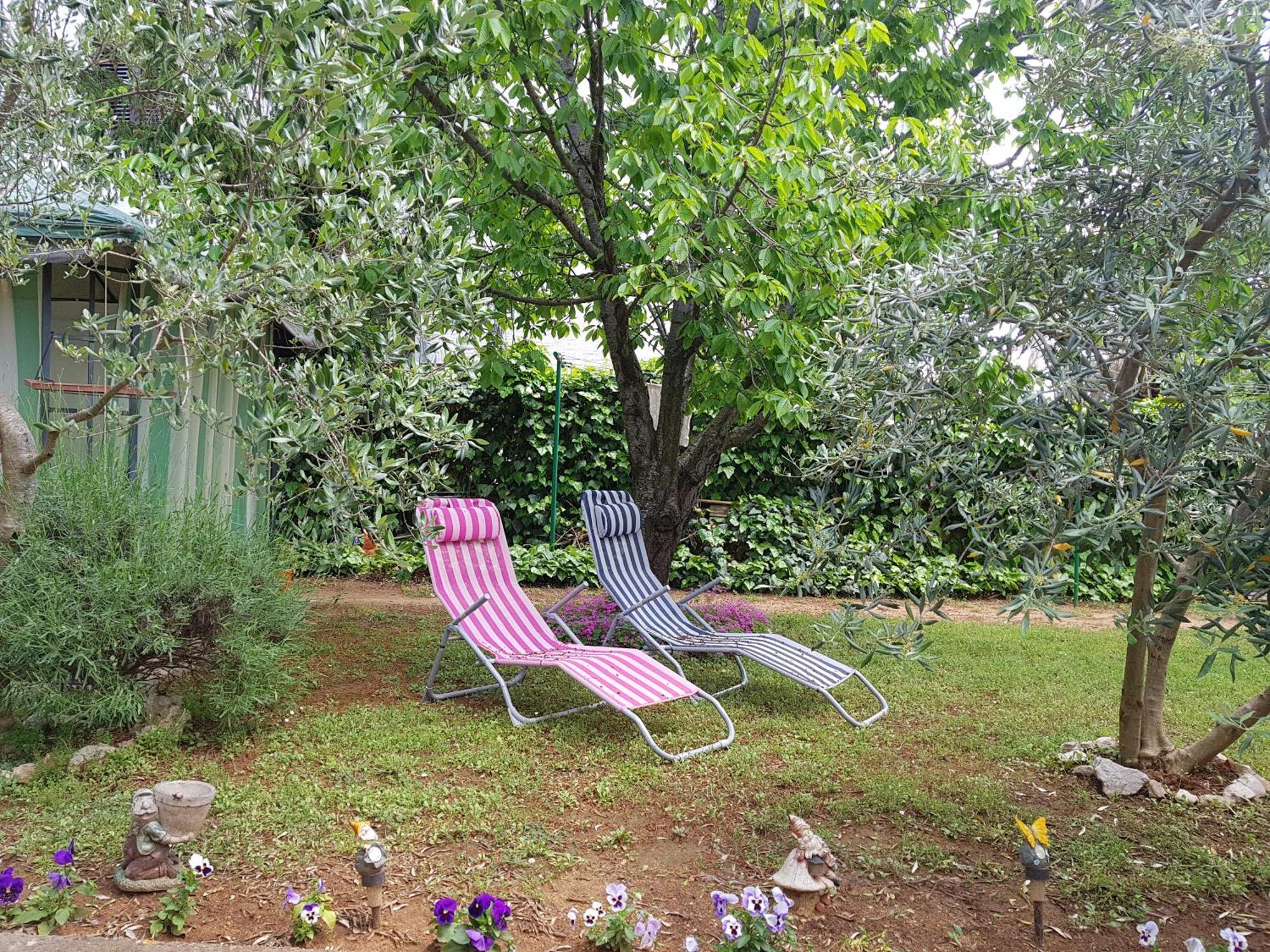 Apartmani Maver Sveti Filip i Jakov Exterior foto